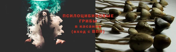 меф Алзамай