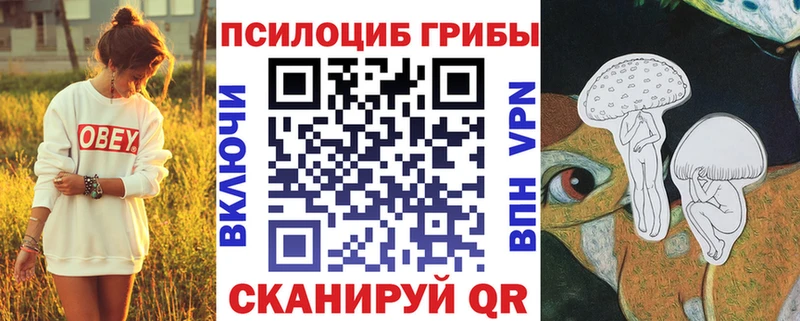 наркошоп  Майский  Галлюциногенные грибы Cubensis 